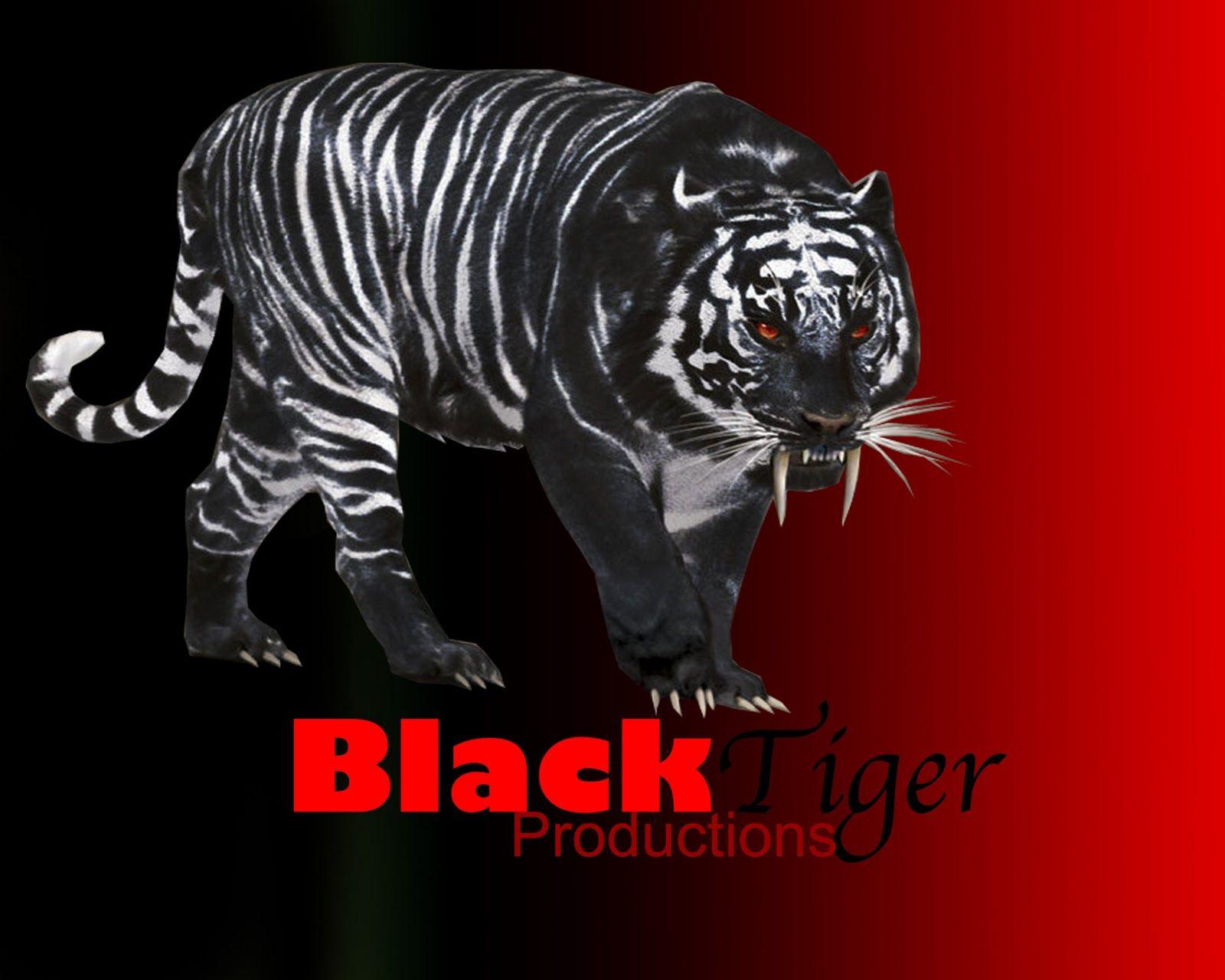 Red and Black Tiger Logo - Black Tiger Production: Black Tiger Productions Logo