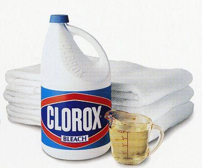 Old Clorox Logo - Clorox Bleach ONLY $1.17