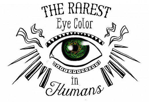 Thing Black with Orange Eyes Logo - Rarest Eye Color in Humans