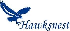 Hawks Nest Logo - Get Ready To Take Off!