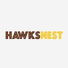 Hawks Nest Logo - Hawks Nest Process Risk Professionals