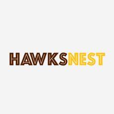 Hawks Nest Logo - Hawks Nest - Business Process Risk Professionals