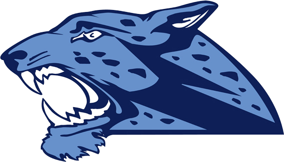 Johnson Jaguars Logo - The Johnson Jaguars