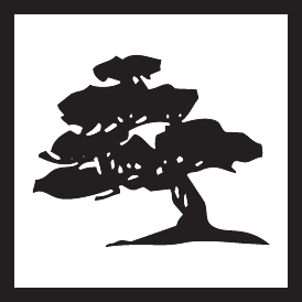 Black Pine Tree Logo - Black Pine Tree Sushi Bar & Restaurant