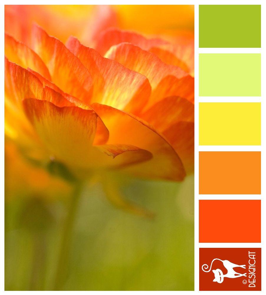 Red Yellow-Green Flower Logo - Sun Burst: Green, pastel, Leaf, Yellow, Orange, Red, Terracotta ...