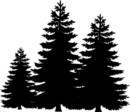 Black Pine Tree Logo - Free Tree Line Art, Download Free Clip Art, Free Clip Art on Clipart ...