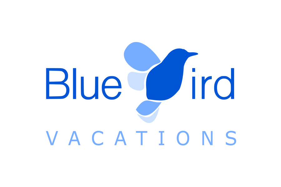 Blue Bird Company Logo - Draw a Blue Bird in the word Blue Bird for our new company, Blue ...