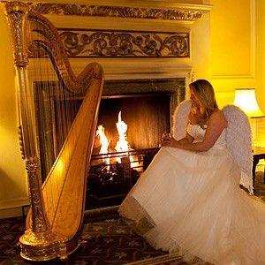 What Companies Is a Gold Harp Logo - Gold Harp | Harpist East Sussex | Alive Network