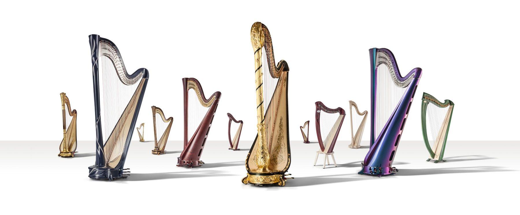 What Companies Is a Gold Harp Logo - Salvi Harps - Pedal Harps & Lever Harps