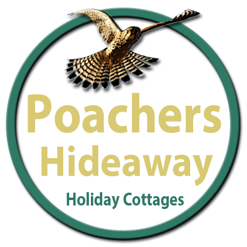 Green and Gold Viking Logo - Poachers Hideaway - Viking Cottage
