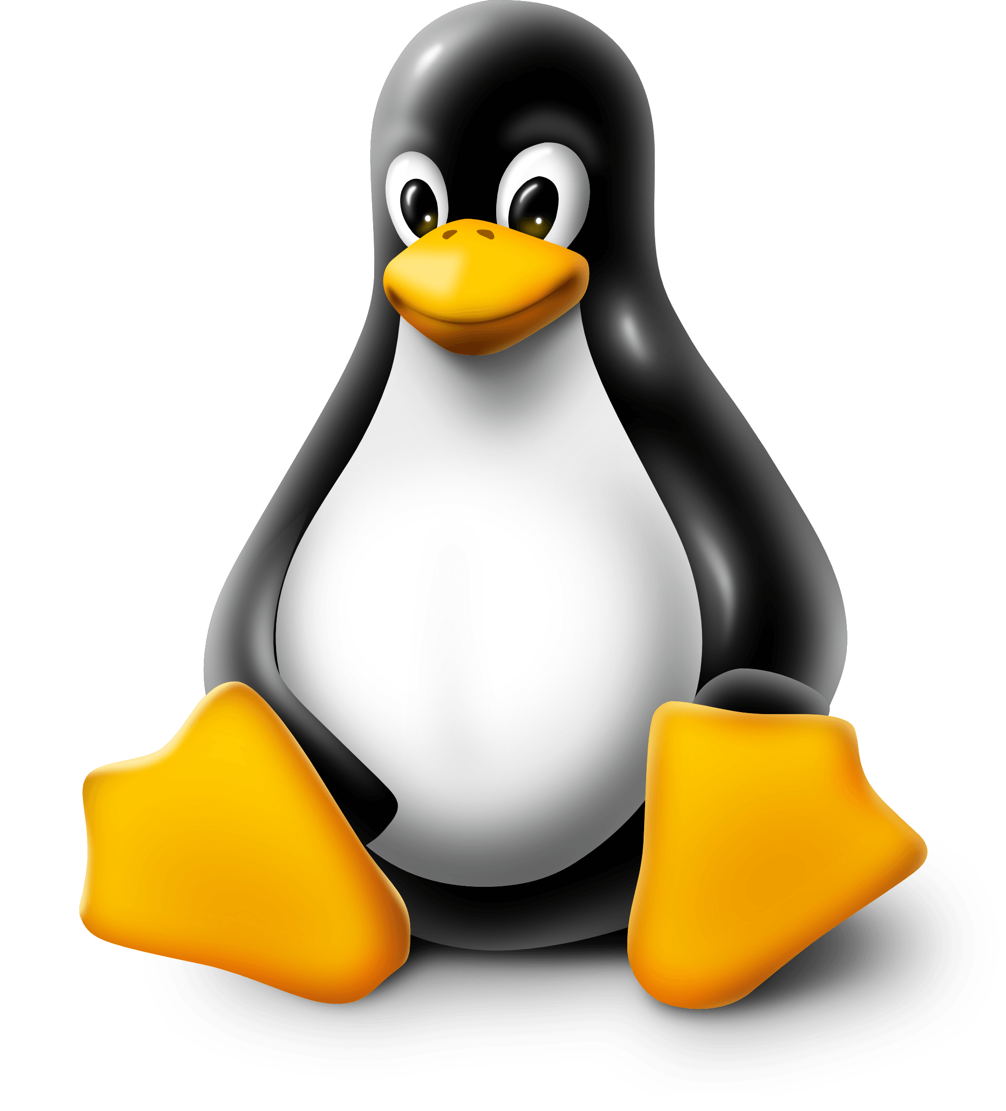Orange Penguin Logo - 20 Linux penguin logo png for free download on YA-webdesign