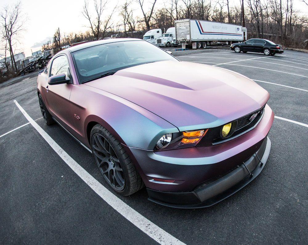 Ford Mustang Paint Logo - Awesome Mustang Paint Jobs