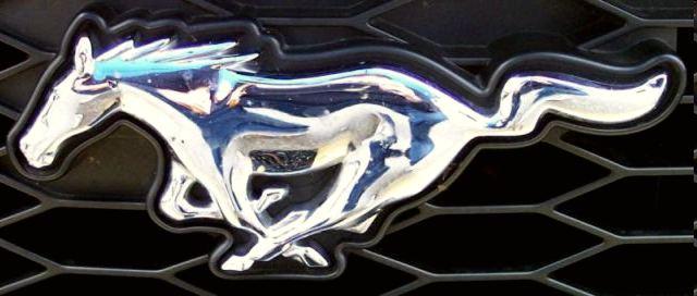 Ford Mustang Paint Logo - Mustang Touch Up Paint Yearly Car Pages