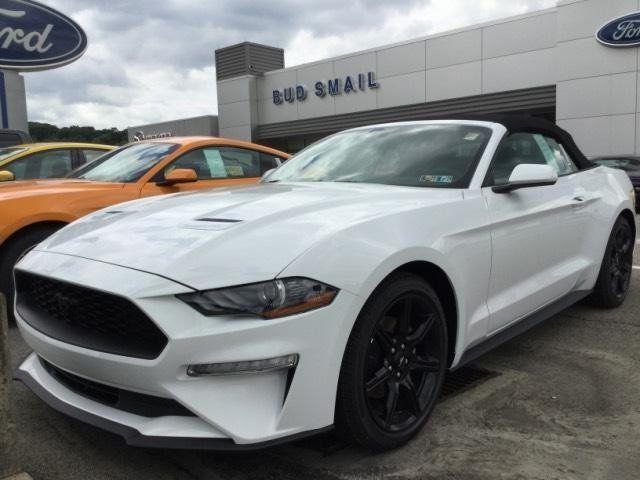 Ford Mustang Paint Logo - New 2018 Ford Mustang with Oxford White paint and Ebony interior