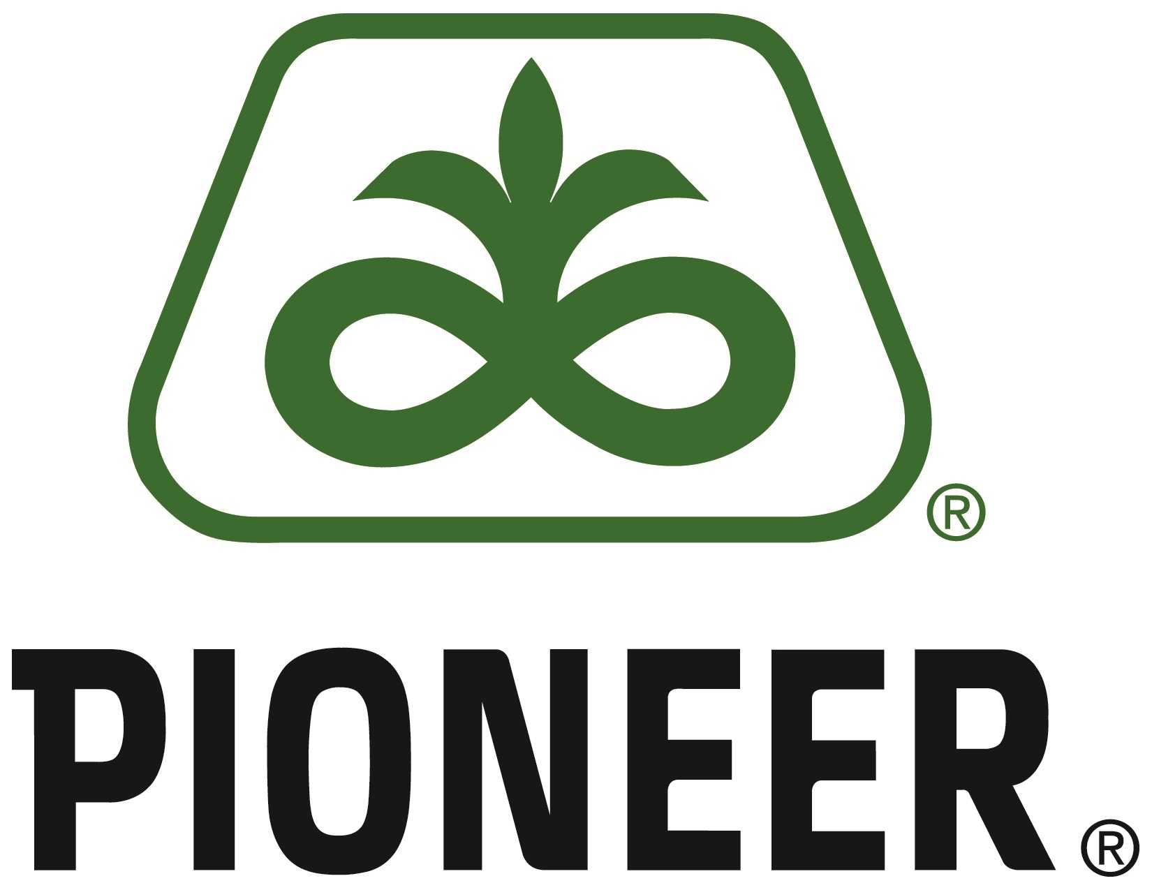 Green Pioneer Logo - Pioneer
