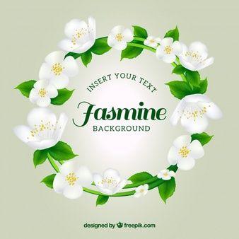 Jasmine Logo - Jasmine Vectors, Photo and PSD files