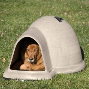 Igloo Dogs Logo - Igloo Dog House Medium Microban Insulated Indoor Outdoor Shelter Pet