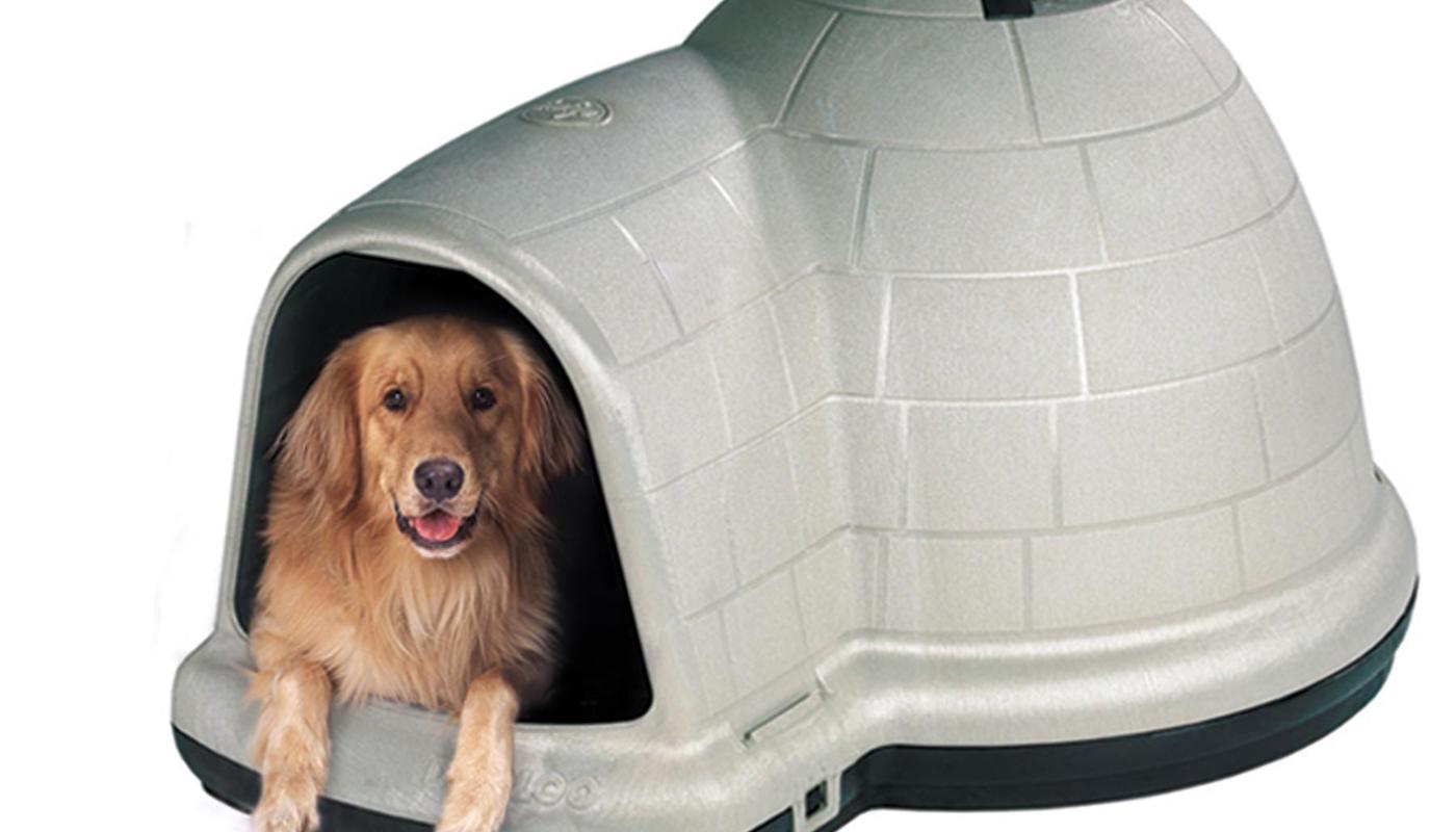 Igloo Dogs Logo - Best Igloo Dog Houses & Kennels [2019 Review & Guide]