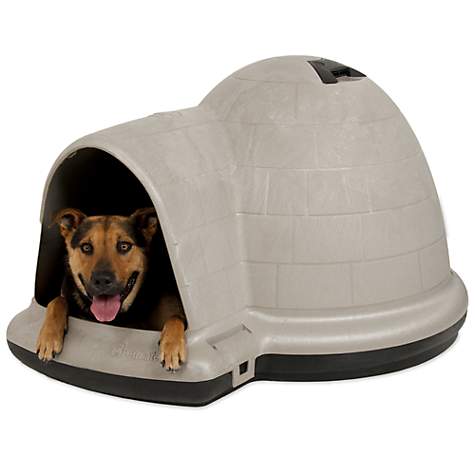 Igloo Dogs Logo - Igloo Dog House: Petmate Indigo Dog Home