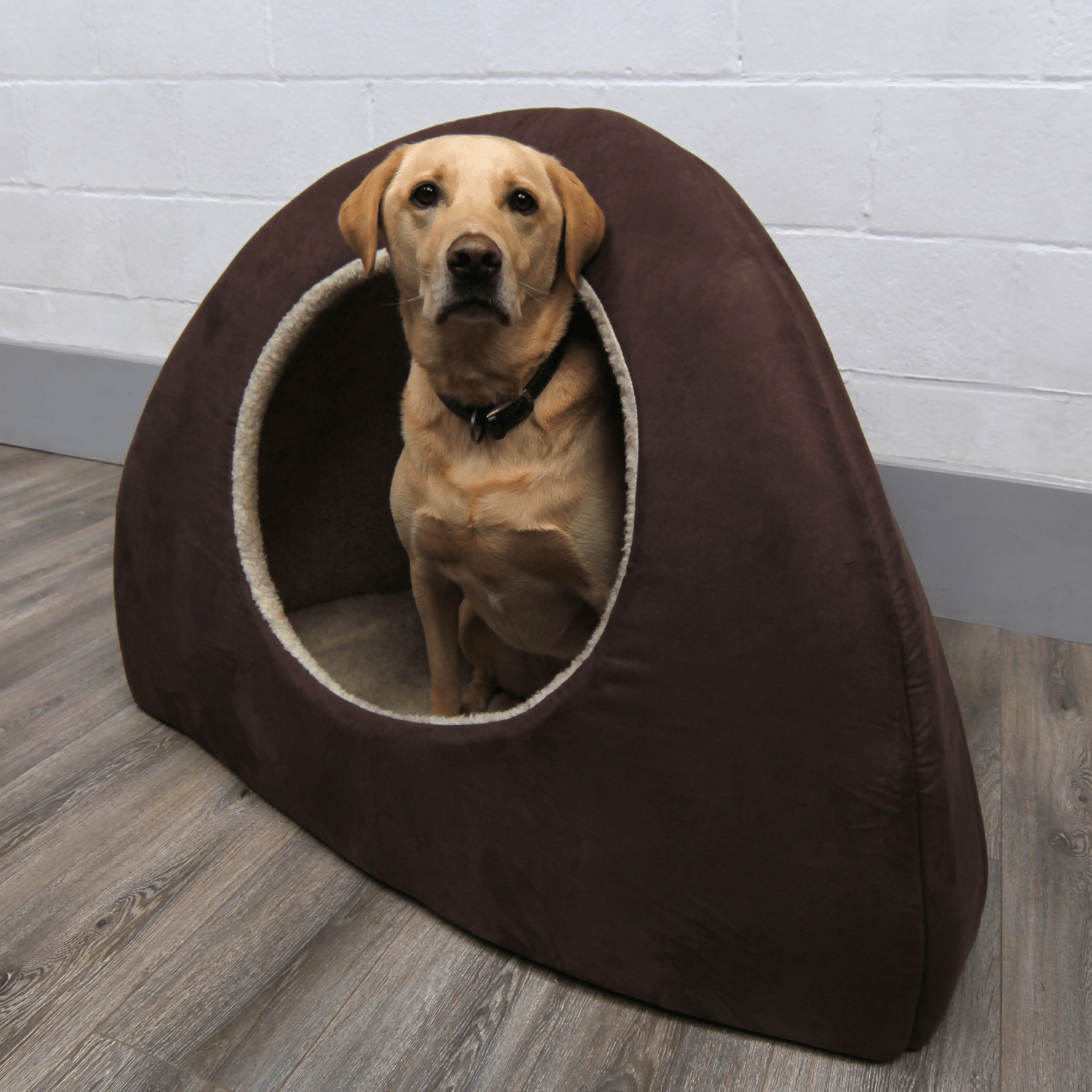 Igloo Dogs Logo - Champagne Faux Suede Dog Bed Igloo – JUMBO