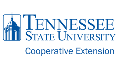 Tennessee State University Logo - Home