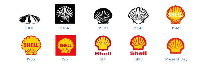 Red and Yellow Seashell Logo - Logo Design