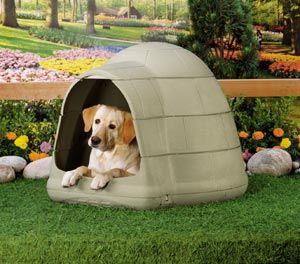 Igloo Dogs Logo - The Petmate Igloo Dog House