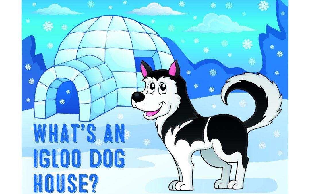 Igloo Dogs Logo - What's an Igloo Dog House? - My First Shiba Inu