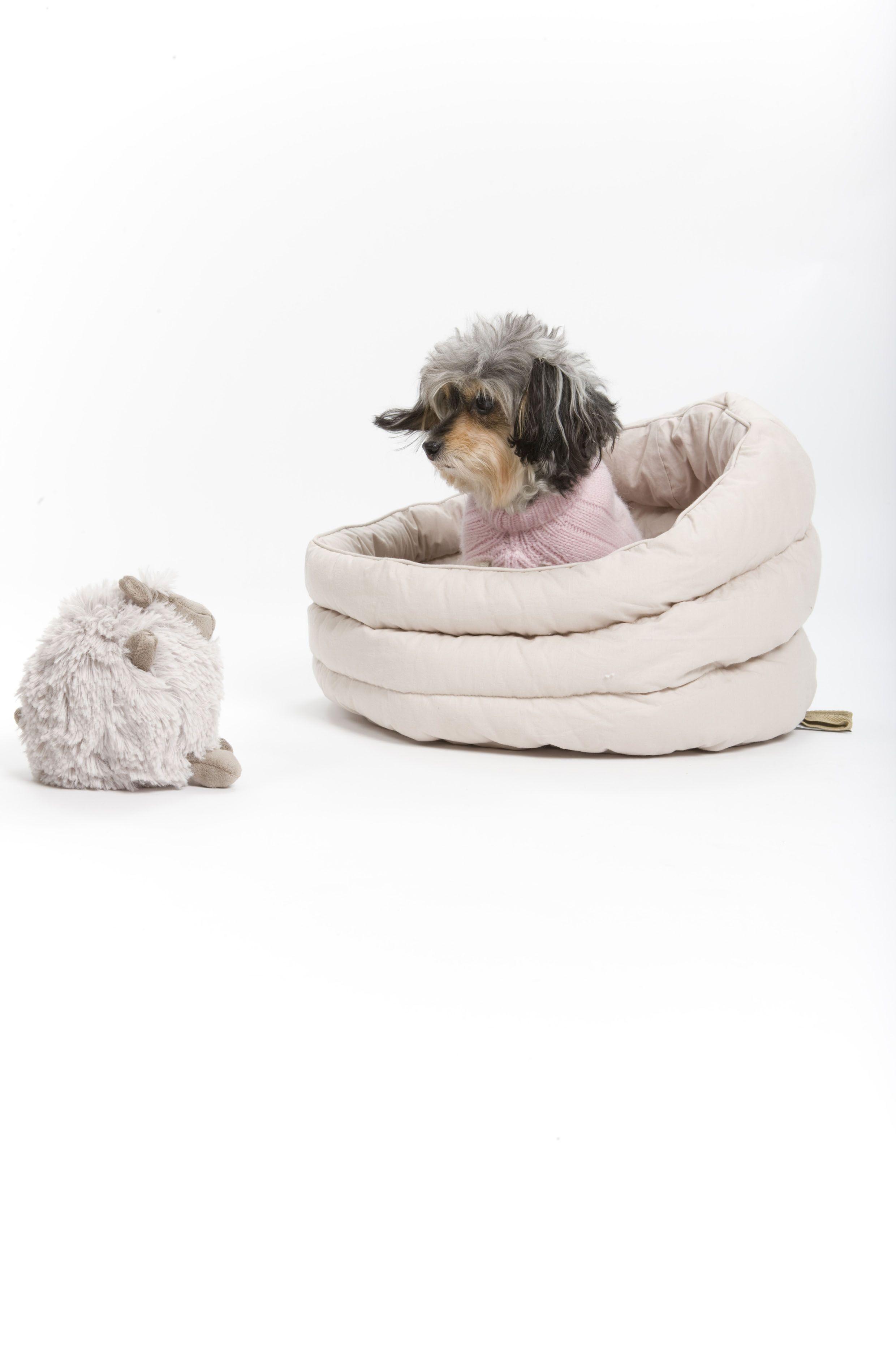 Igloo Dogs Logo - 3 The Pooch [Puppy with Igloo Dog Bed and Grey Puffacake toy from ...