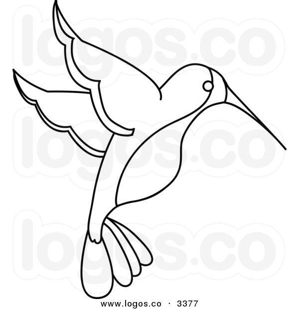 White Hummingbird Logo - Royalty Free Vector of a Black and White Outlined Hummingbird Logo ...