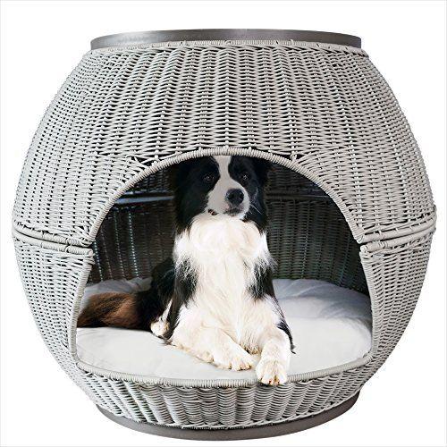 Igloo Dogs Logo - Best Igloo Dog Houses & Kennels [2019 Review & Guide]