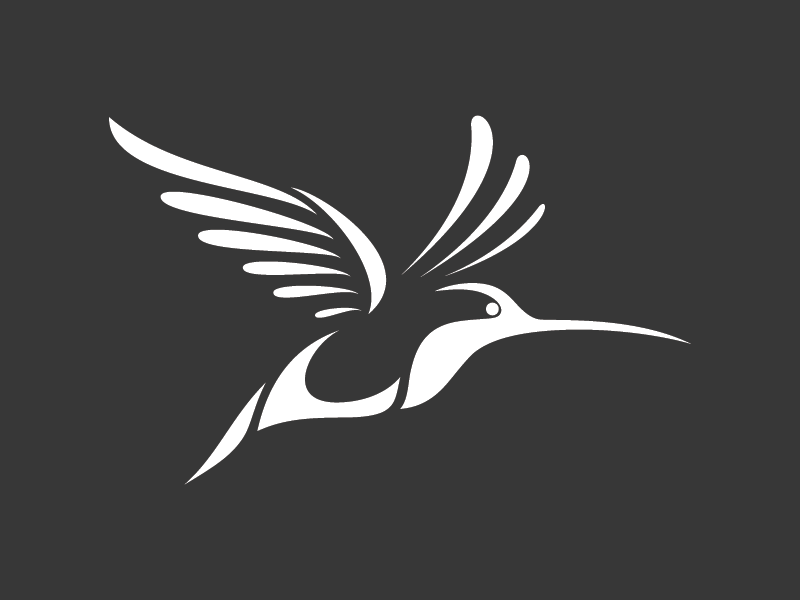White Hummingbird Logo - First Girls Lacrosse Helmet to Meet ATSM Standards