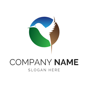 White Hummingbird Logo - Free Hummingbird Logo Designs. DesignEvo Logo Maker