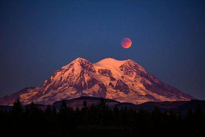 Red Moon Mountain Logo - Living Wilderness: Blood Red Moon over Mount Rainier