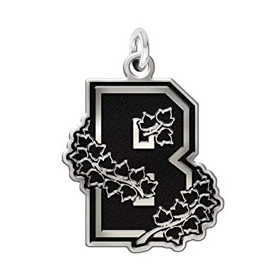 Brown Bears Logo - Amazon.com: Brown Bears Charm - 3/4