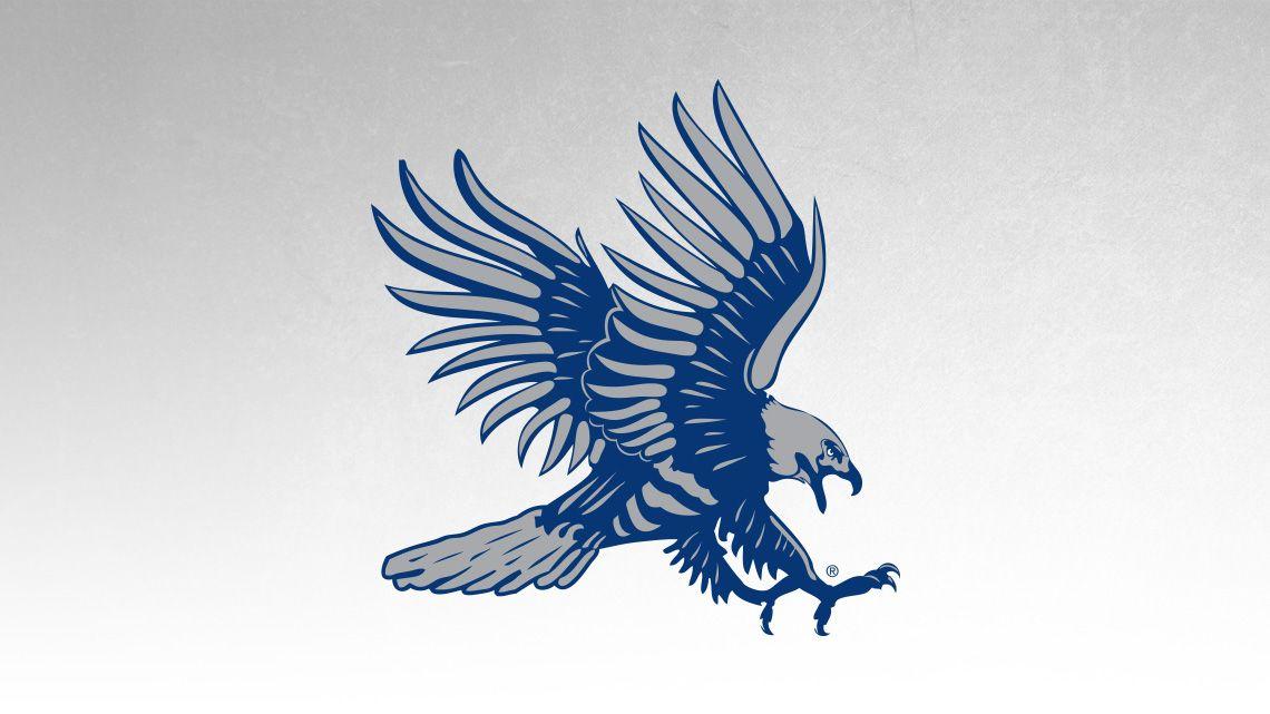 Dickinson State University Logo - Dickinson State University (North Dakota) Athletics