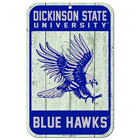 Dickinson State University Logo - Amazon.com : WinCraft Dickinson State Blue Hawks Official NCAA 11 x
