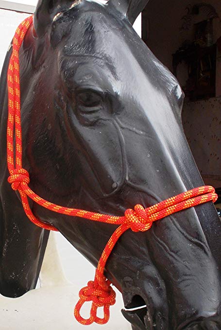 Red and Yellow Horse Logo - Nylon Cowboy Rope Halter Horse Tack Equine In Red Yellow