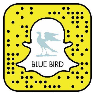 Blue Bird with Yellow Logo - The Blue Bird (@TheCamBlueBird) | Twitter