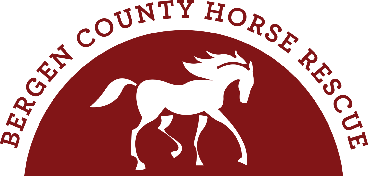 Horse Rescue Logo - Bergen County Horse Rescue