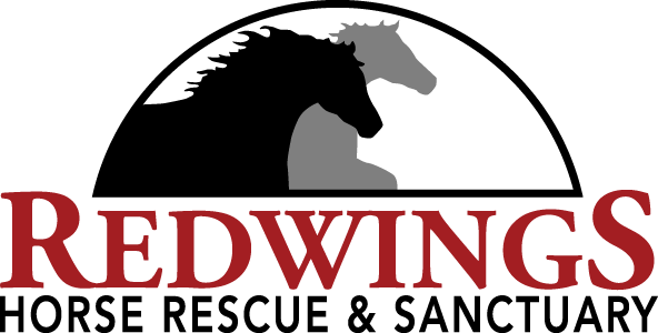 Horse Rescue Logo - Home - Redwings Horse Rescue and Sanctuary