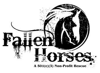 Horse Rescue Logo - Questions Remain After Animals Pulled From Fallen Horses Rescue