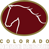 Horse Rescue Logo - Colorado Horse Rescue