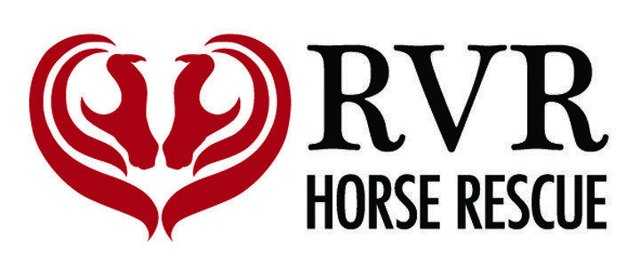 Horse Rescue Logo - Phoenix Is One Of Many Success Stories From RVR Horse Rescue