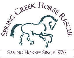 Horse Rescue Logo - Helping Save Horses Serene