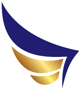 Aircraft Wings Logo - Aircraft Maintenance in Johannesburg South Africa