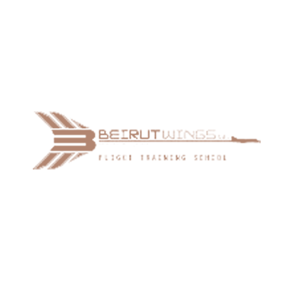 Aircraft Wings Logo - Asyad | Aviation