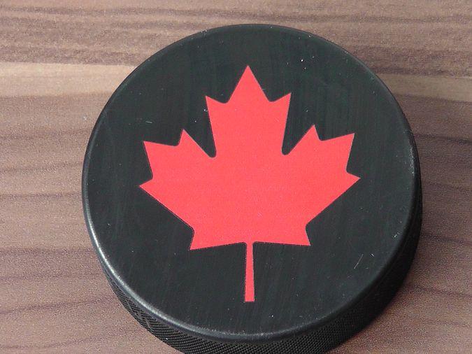 Red Leaf in Circle Logo - Hockey Puck Bottle Openers From Buffalo Bottle Craft Close Up View