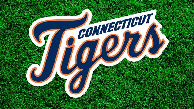 CT Tigers Logo - Dave Schermerhorn Named CT Tigers General Manager. Connecticut