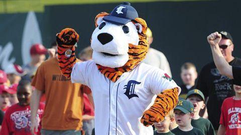 CT Tigers Logo - C.T. the Tiger, Connecticut Tigers mascot; Class A-Short Season, New ...